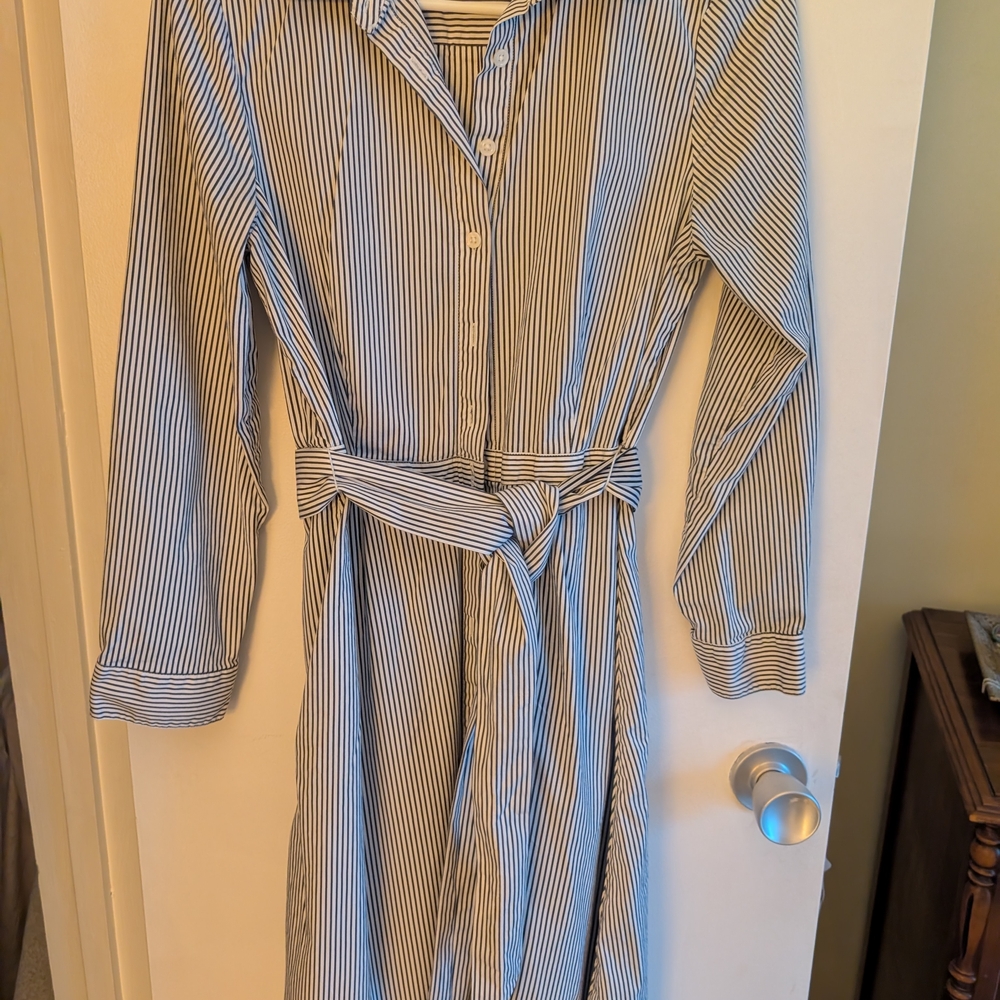 J. Crew Factory Blue and White Striped Dress